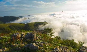 5.19中國旅游日“惠”游湖北 夏天來宜昌山林峽谷，一起漂流一起嗨！